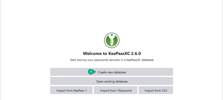 KeePassXC Password Manager
